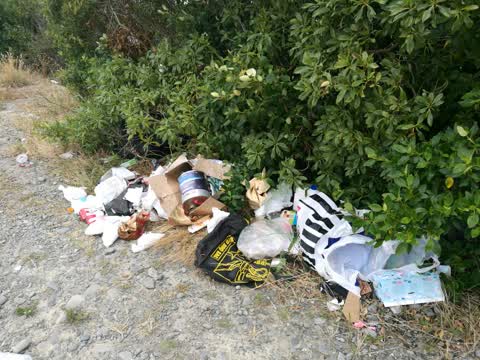 Rubbish/Recycling, a report photo