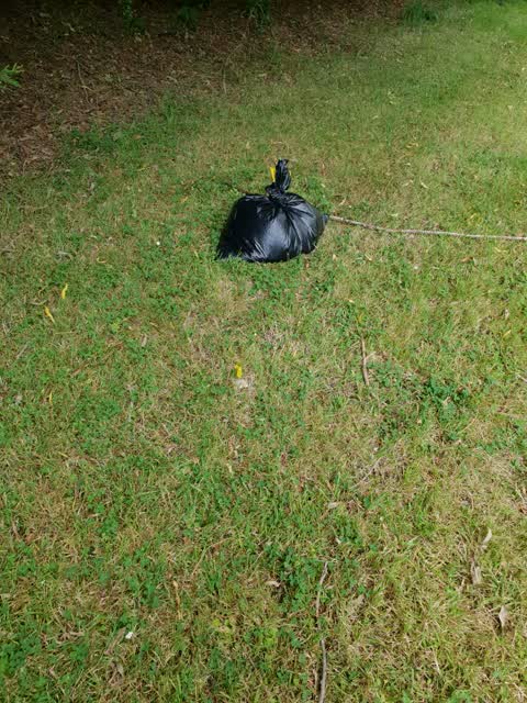 Rubbish/Recycling, a report photo