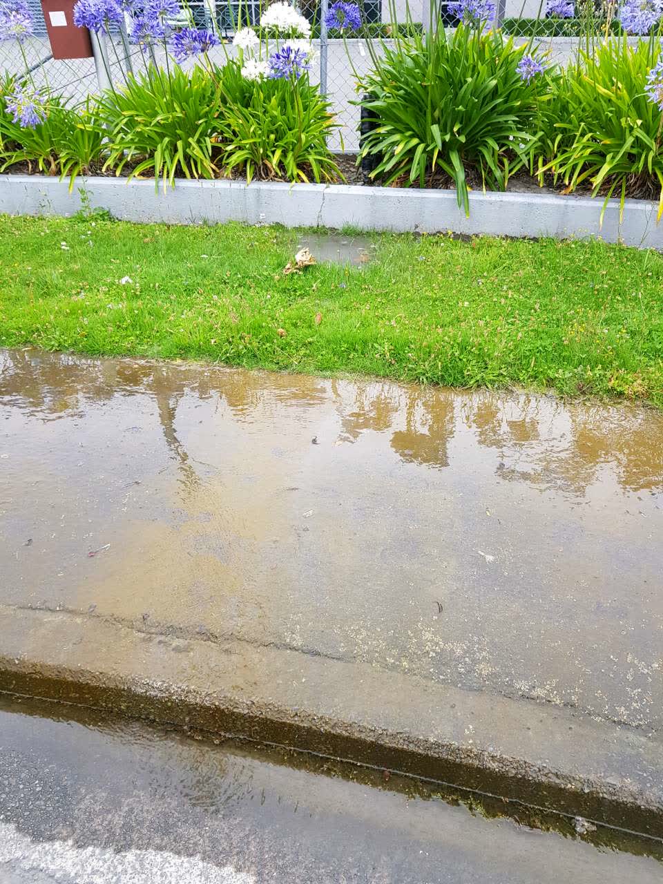 The photograph attached to this water supply report