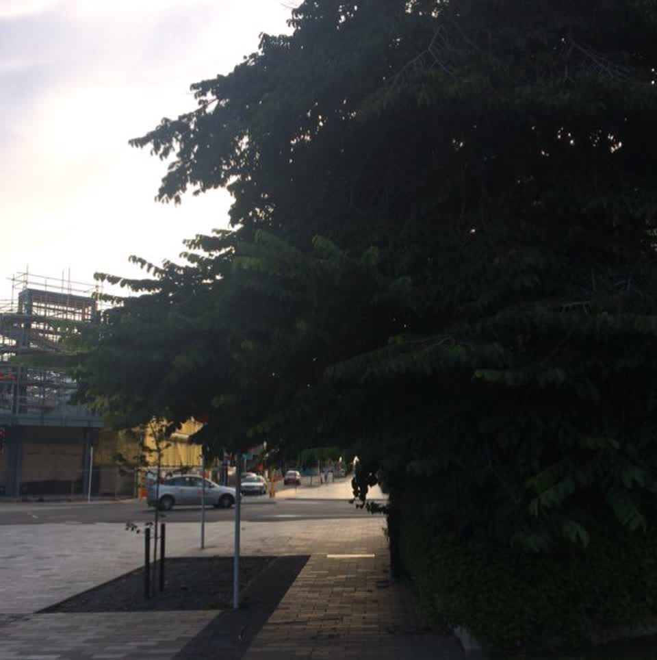 The photograph attached to this parks report