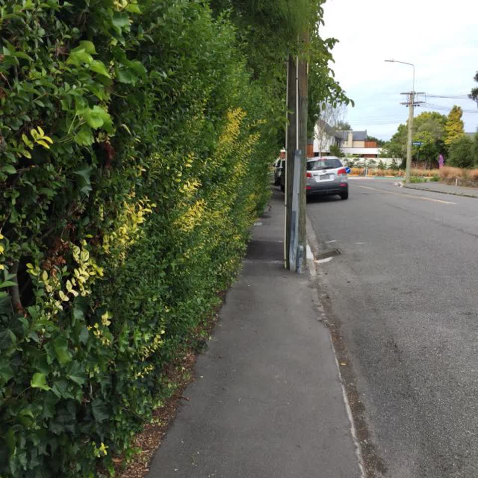 The photograph attached to this parks report