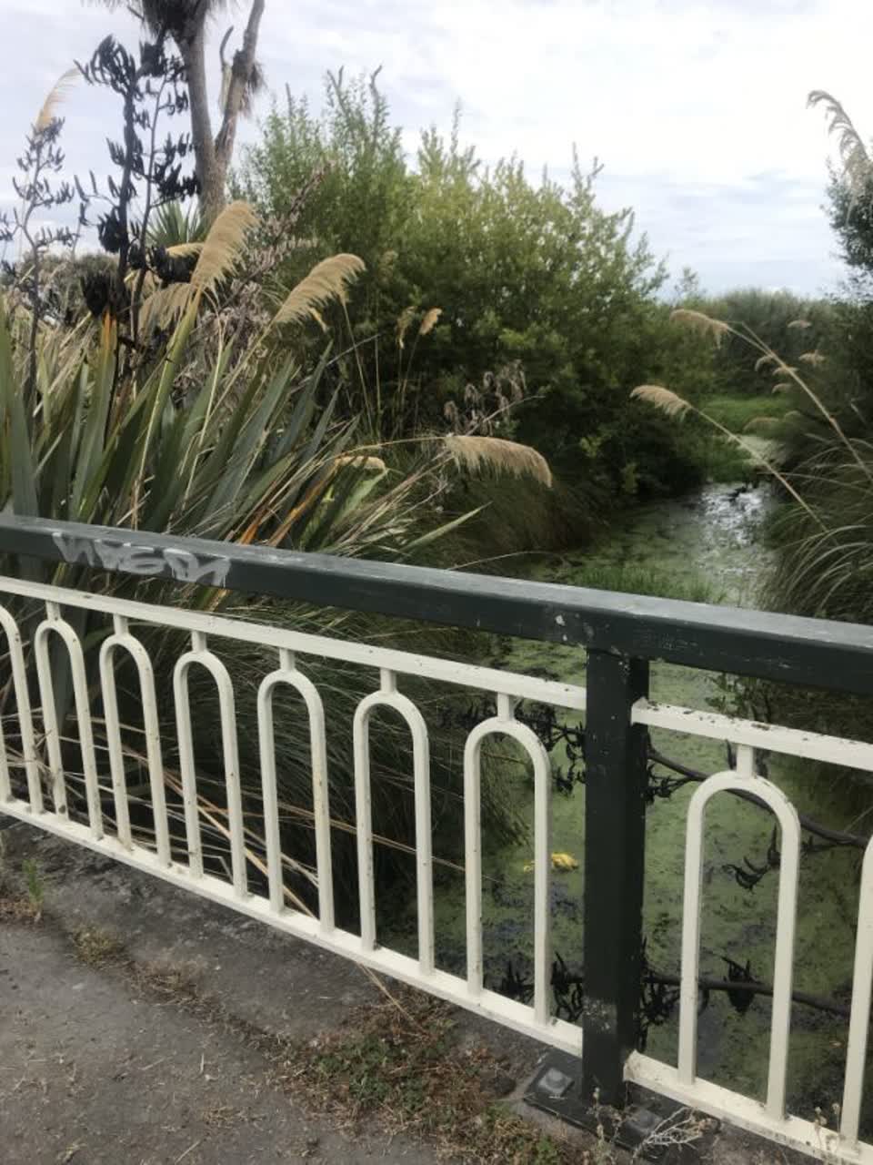The photograph attached to this parks report