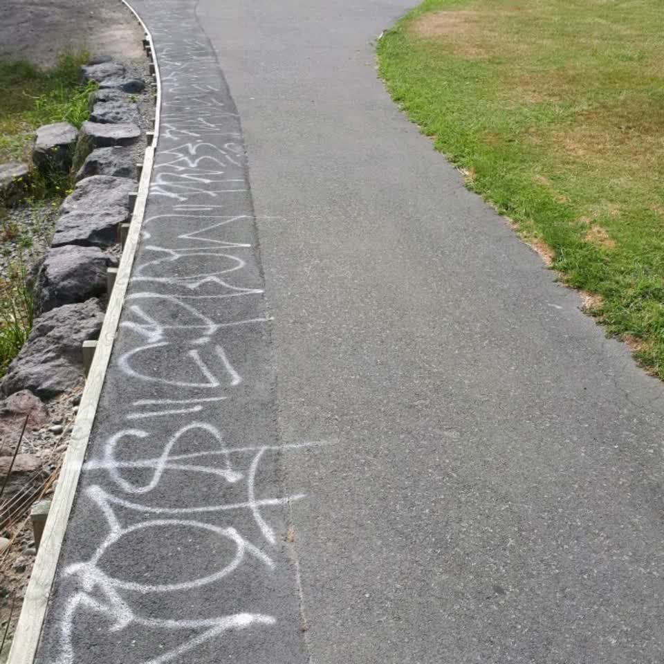 The photograph attached to this graffiti report