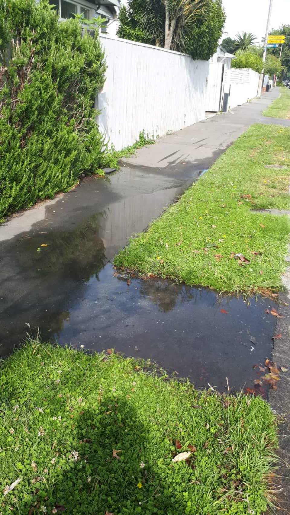 The photograph attached to this water supply report