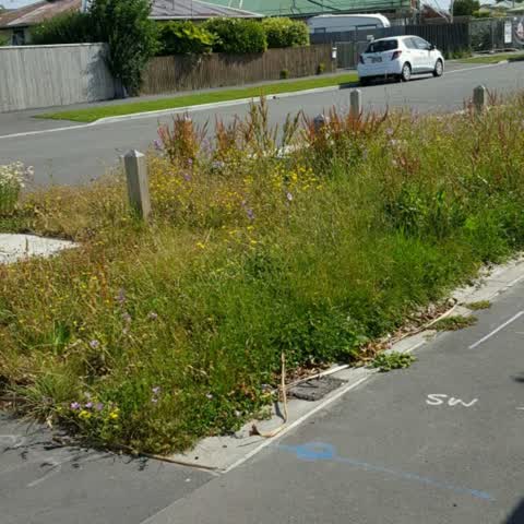 Parks, a report photo
