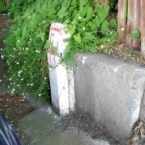 Roading/Streets, a report photo