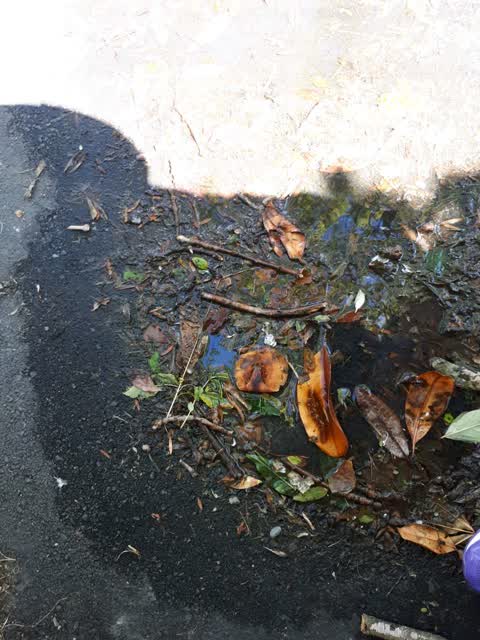 Wastewater/Stormwater, a report photo