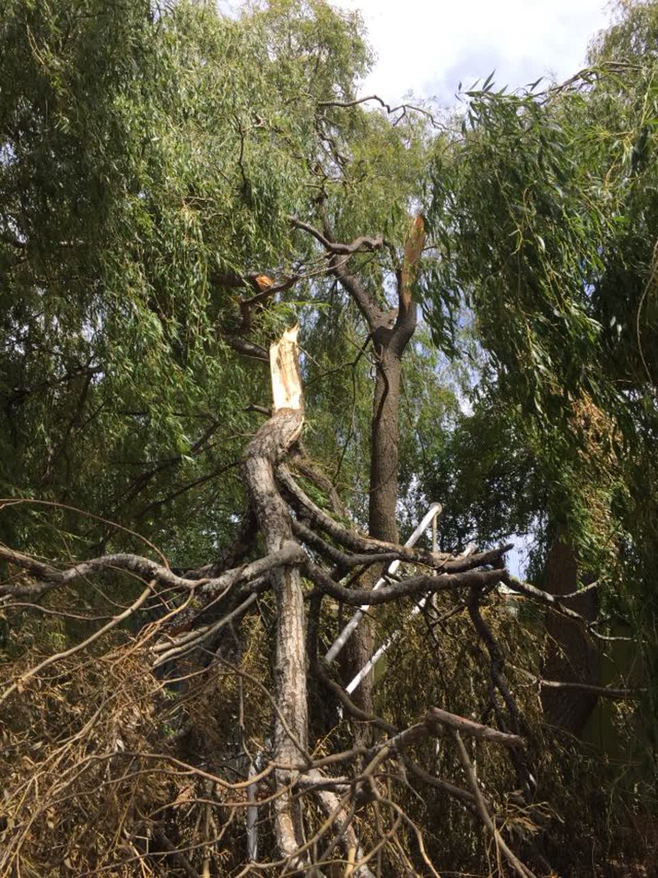 The photograph attached to this parks report