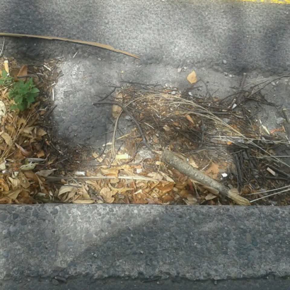 The photograph attached to this wastewater/stormwater report