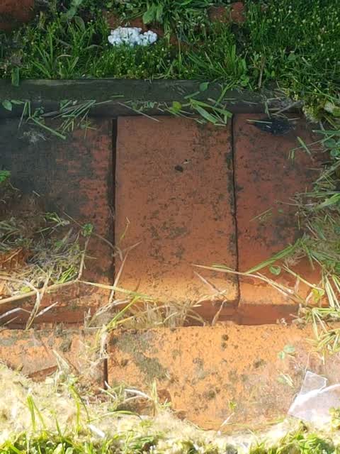Wastewater/Stormwater, a report photo