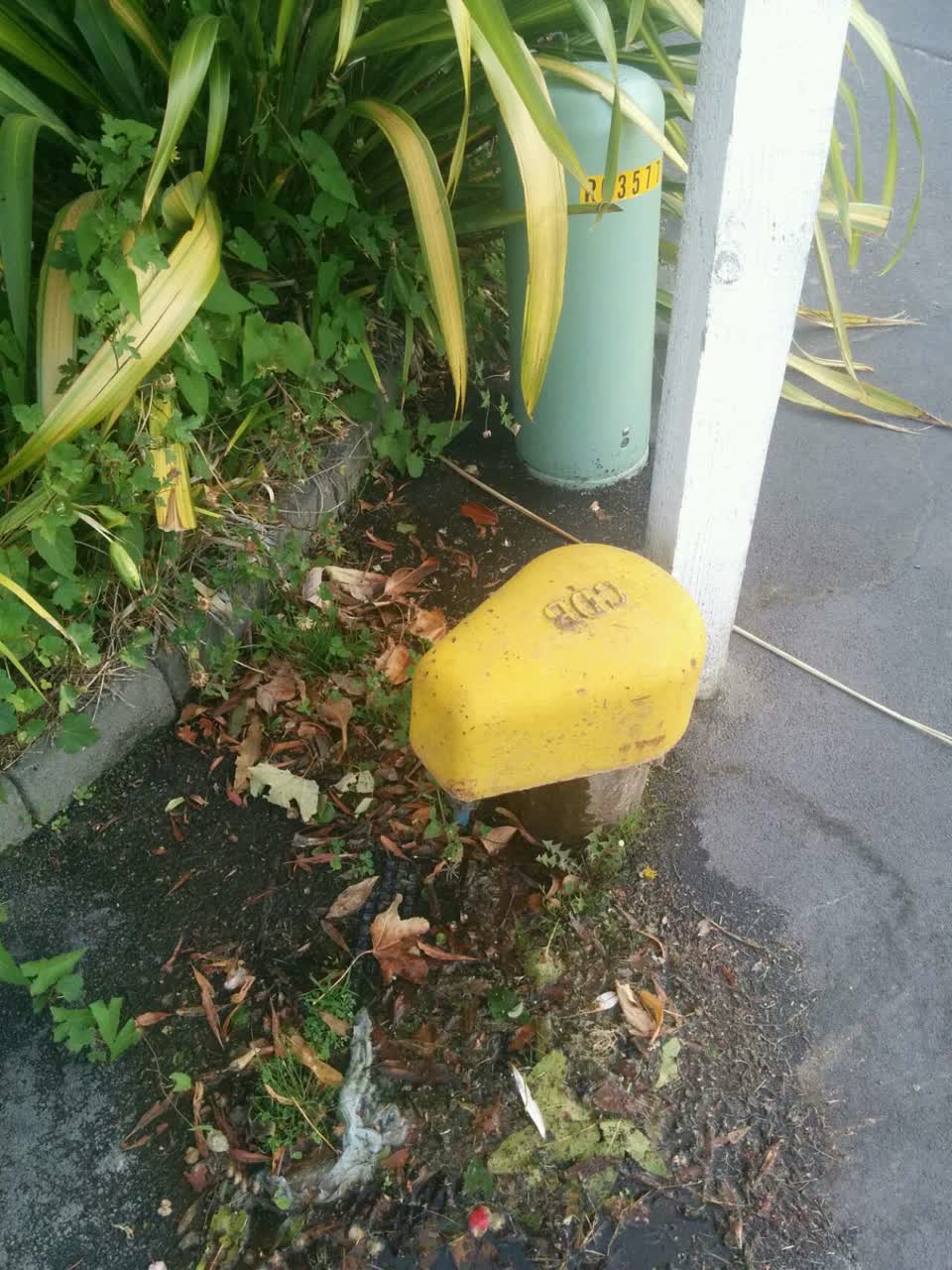 The photograph attached to this water supply report