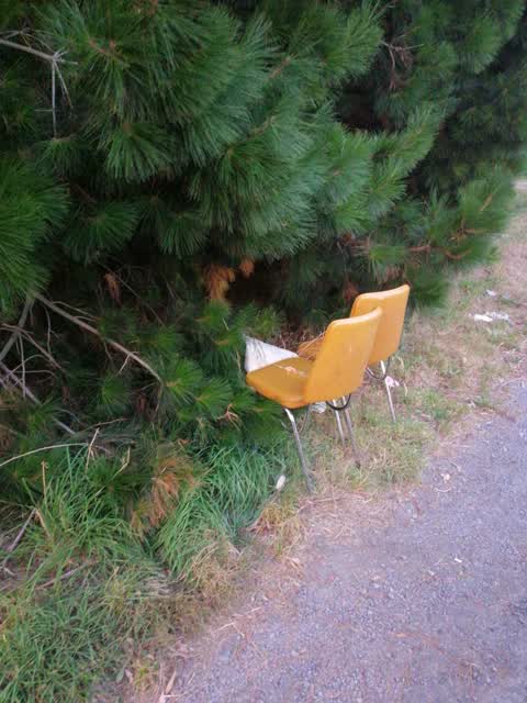 Rubbish/Recycling, a report photo