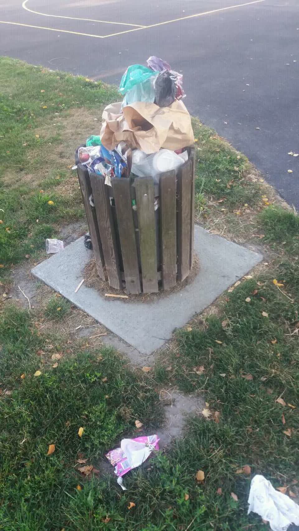The photograph attached to this rubbish/recycling report