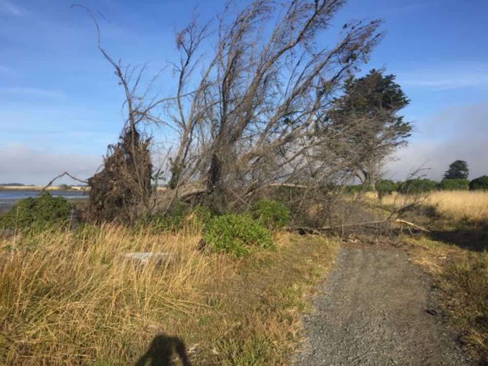 The photograph attached to this parks report