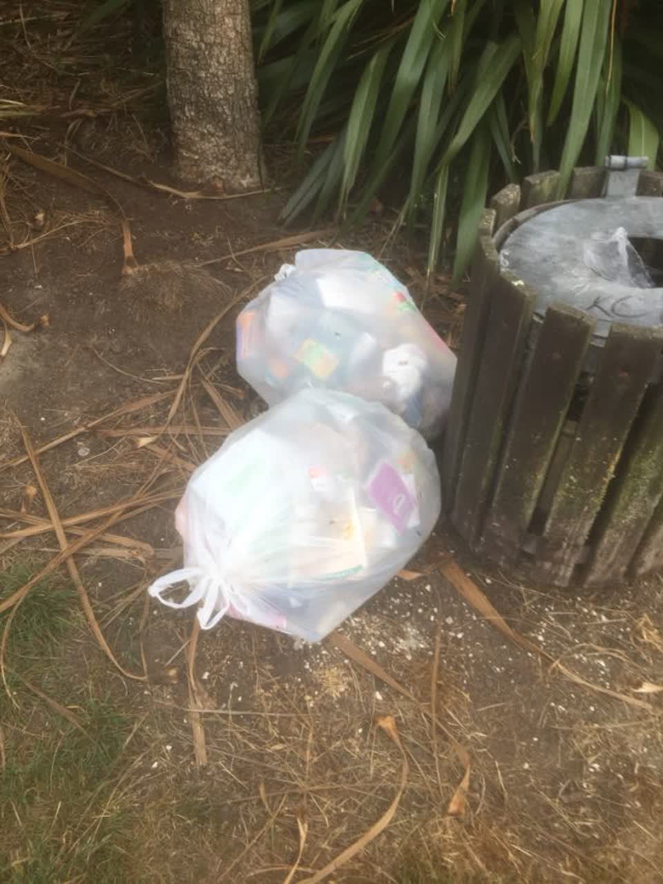 The photograph attached to this parks report