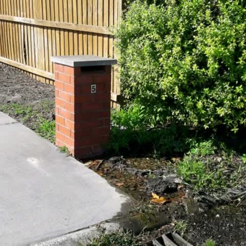 Water Supply, a report photo