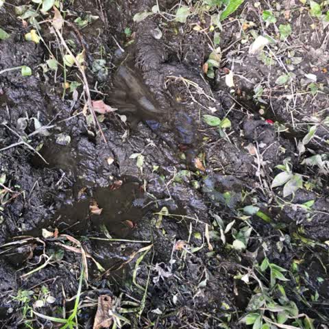 Wastewater/Stormwater, a report photo