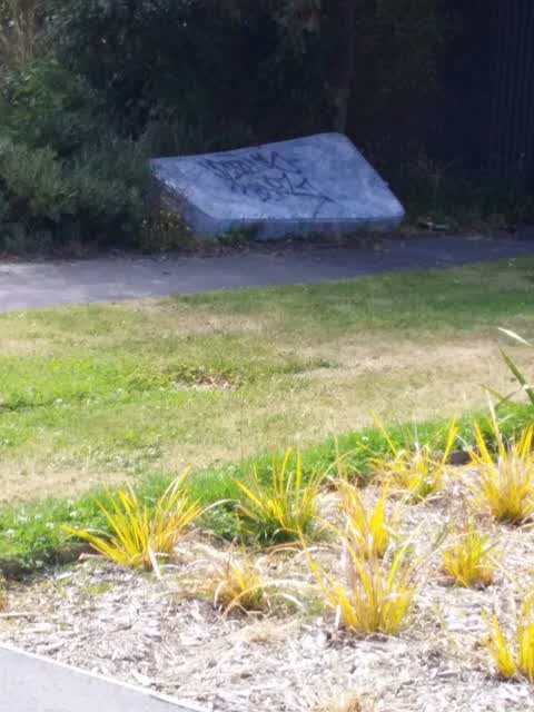 Rubbish/Recycling, a report photo
