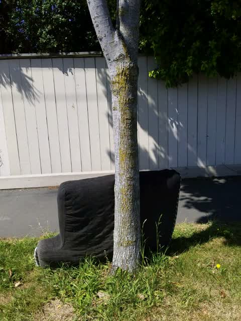 Rubbish/Recycling, a report photo