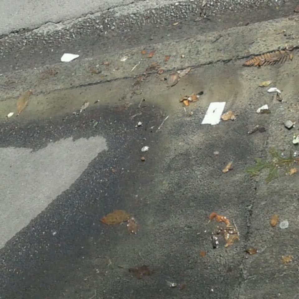 The photograph attached to this water supply report
