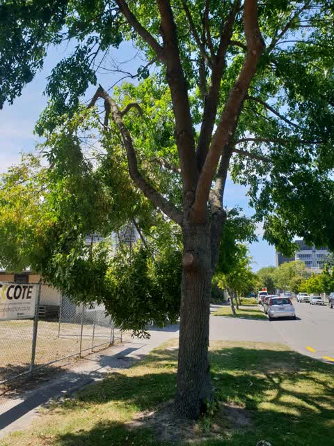 Parks — a report photo