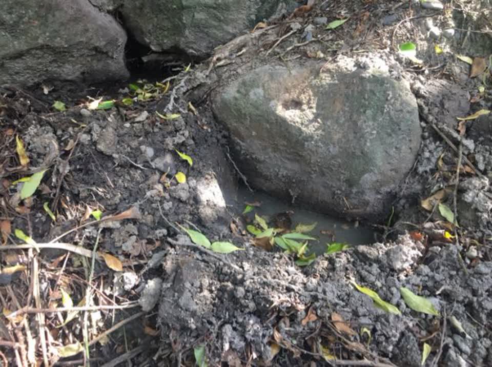 The photograph attached to this water supply report