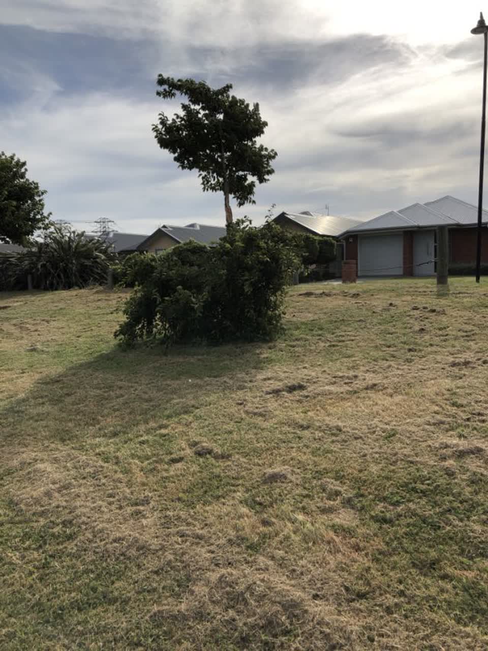 The photograph attached to this parks report