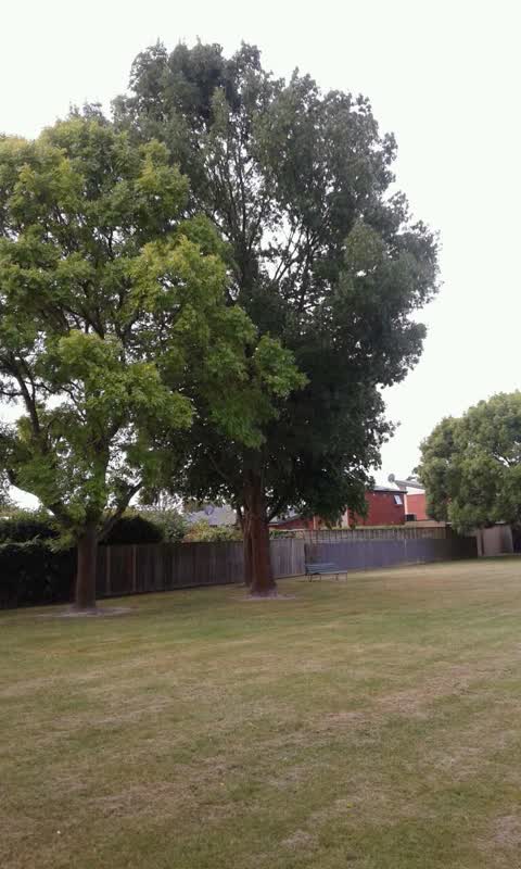 Parks, a report photo