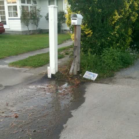Water Supply, a report photo