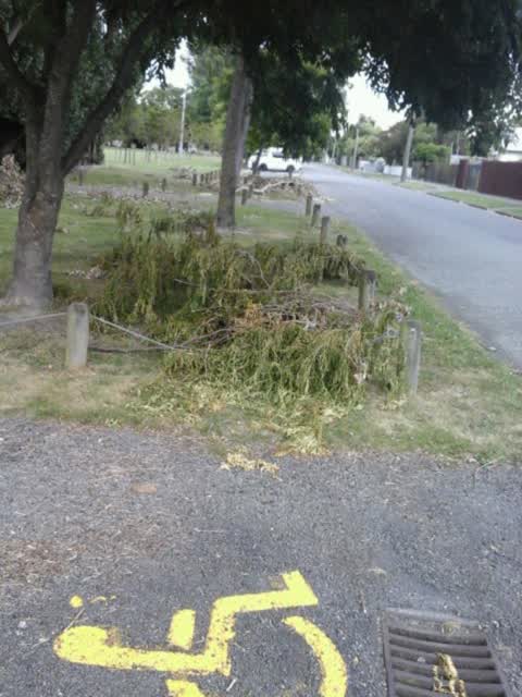 Parks, a report photo