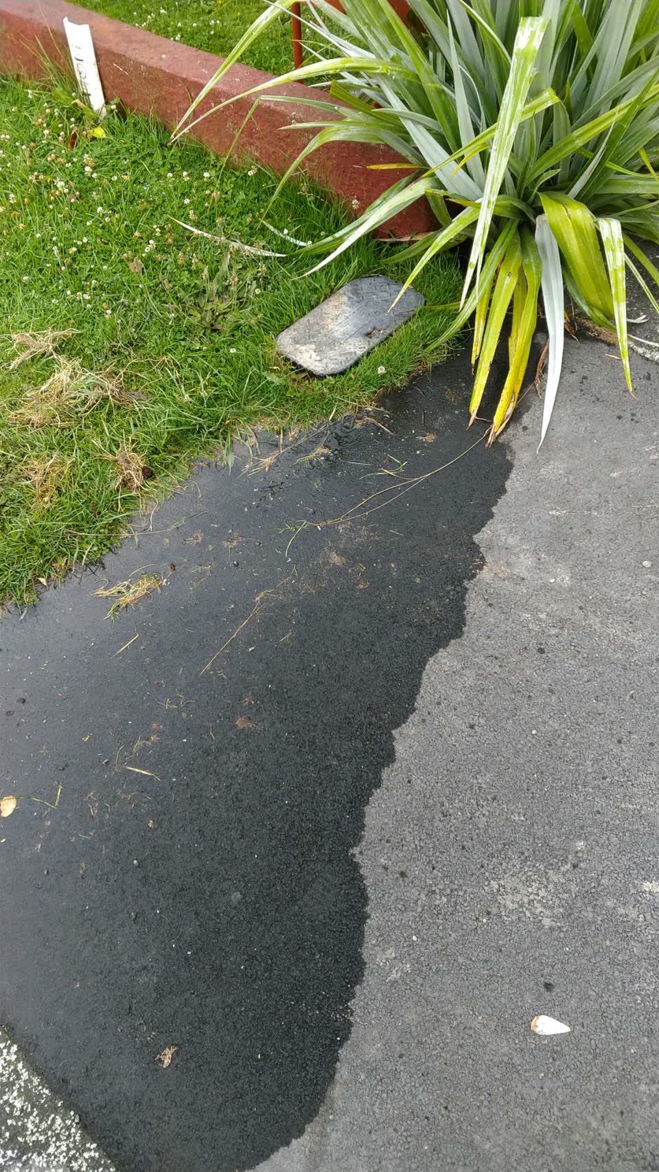 The photograph attached to this water supply report