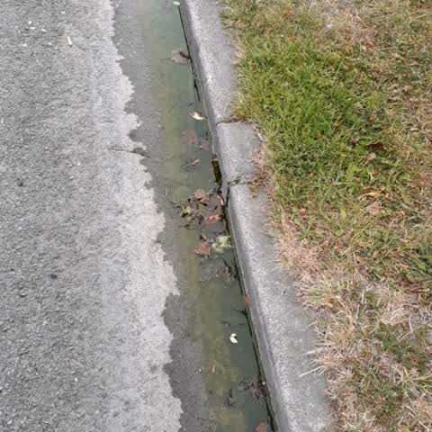 Water Supply, a report photo