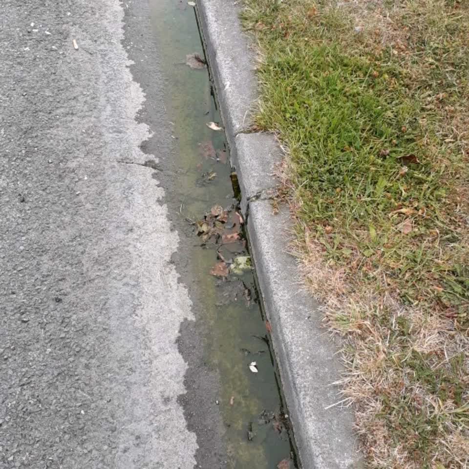 The photograph attached to this water supply report