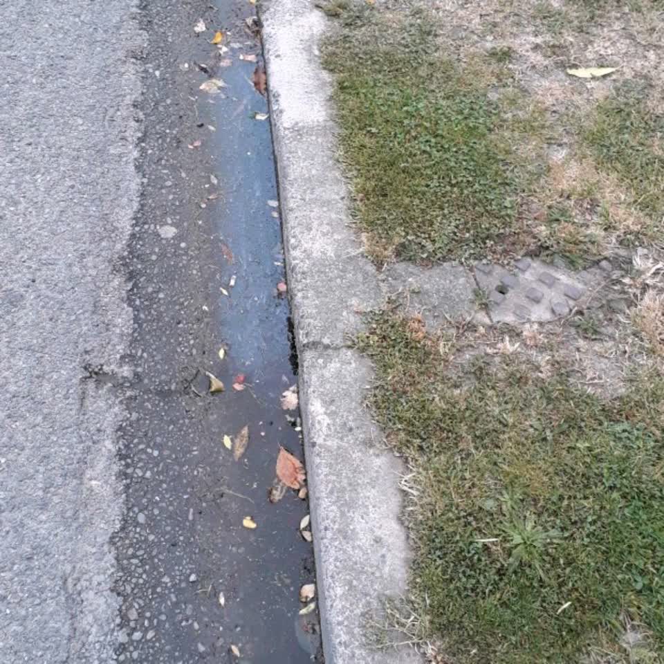 The photograph attached to this water supply report