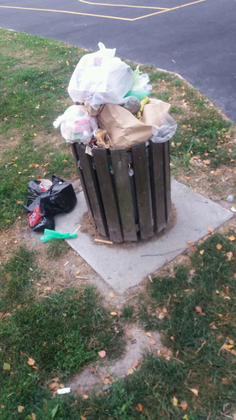 The photograph attached to this rubbish/recycling report