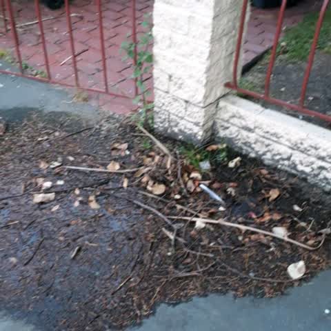 Water Supply, a report photo