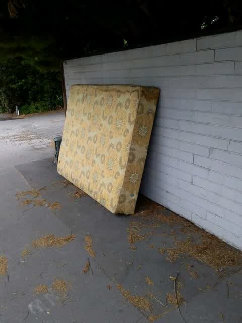 Rubbish/Recycling, a report photo