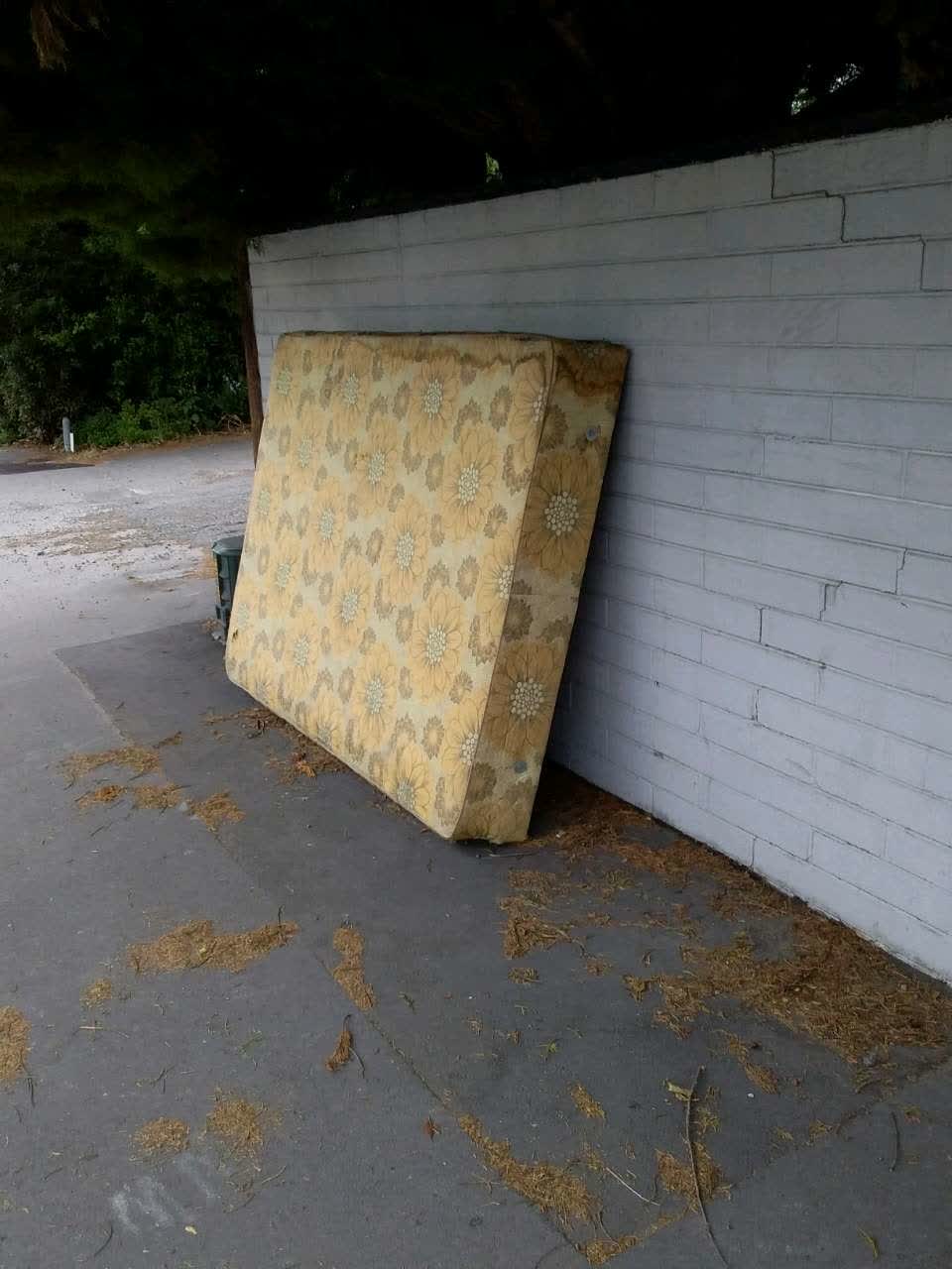 The photograph attached to this rubbish/recycling report