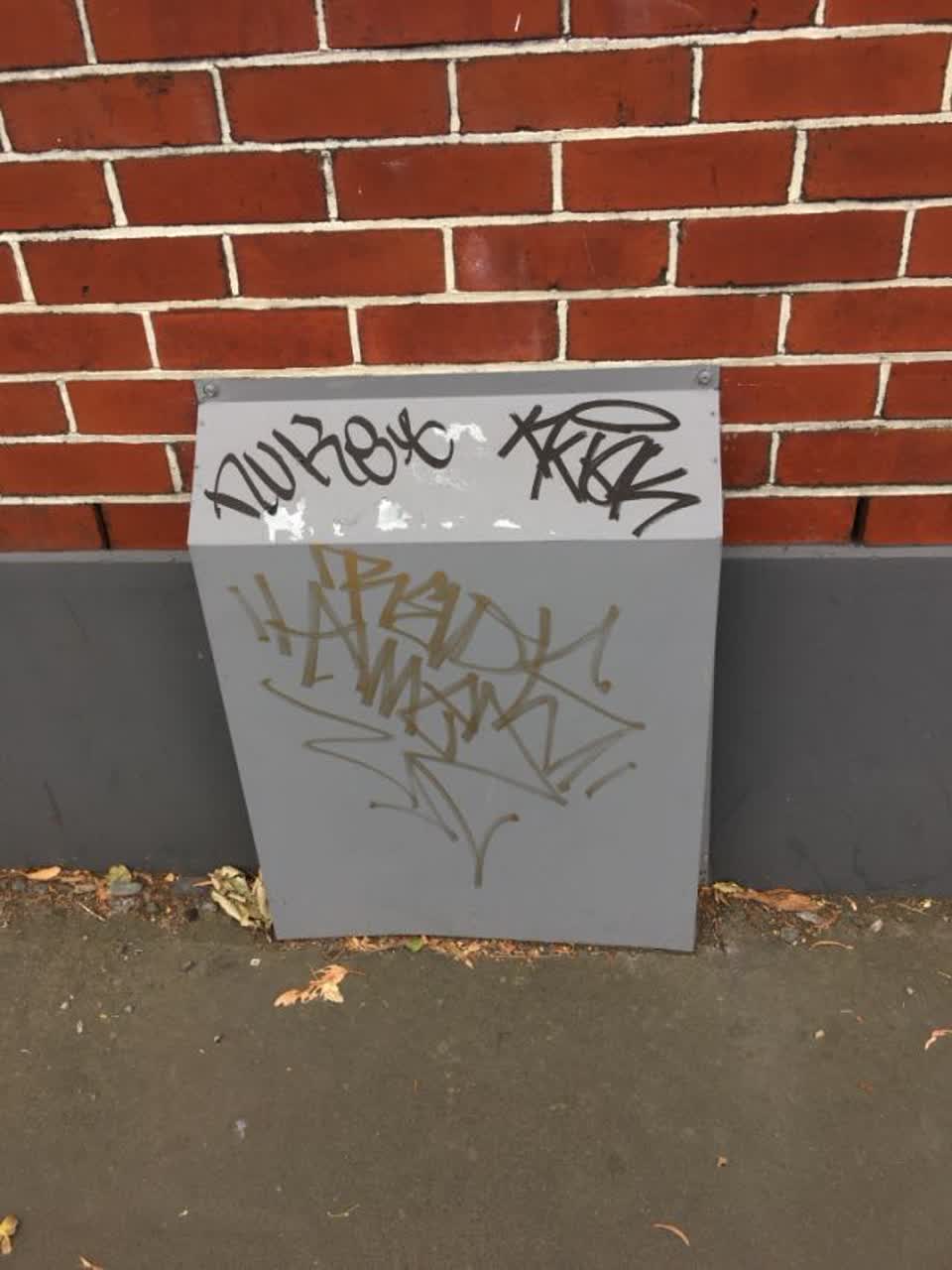 The photograph attached to this graffiti report