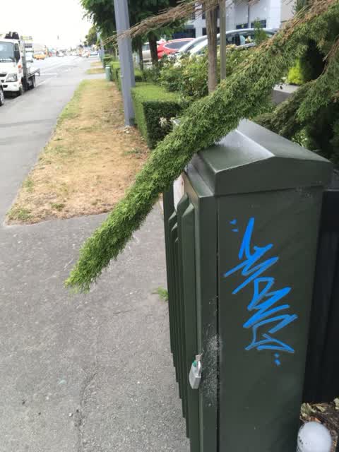 Graffiti, a report photo