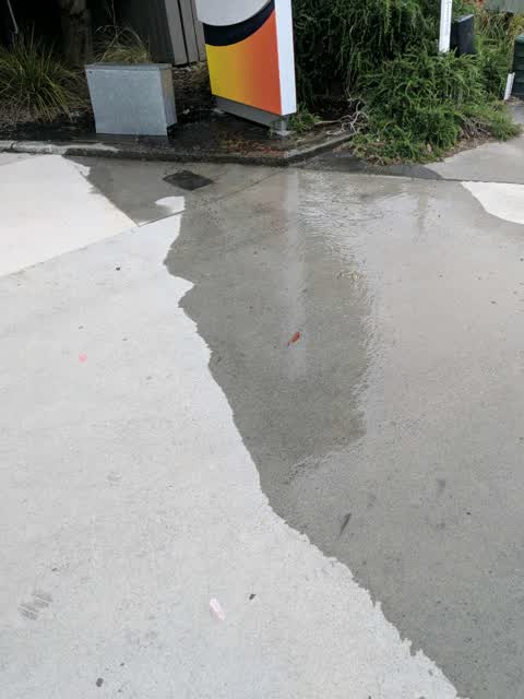 Water Supply, a report photo