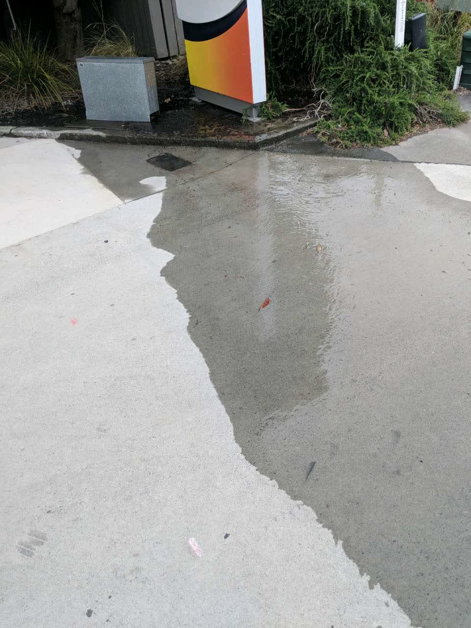 The photograph attached to this water supply report