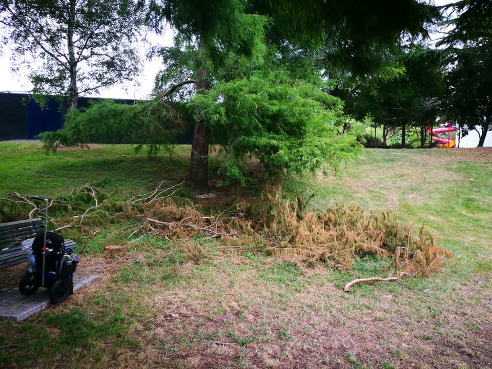 The photograph attached to this parks report