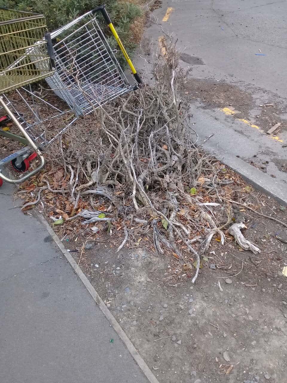 The photograph attached to this roading/streets report