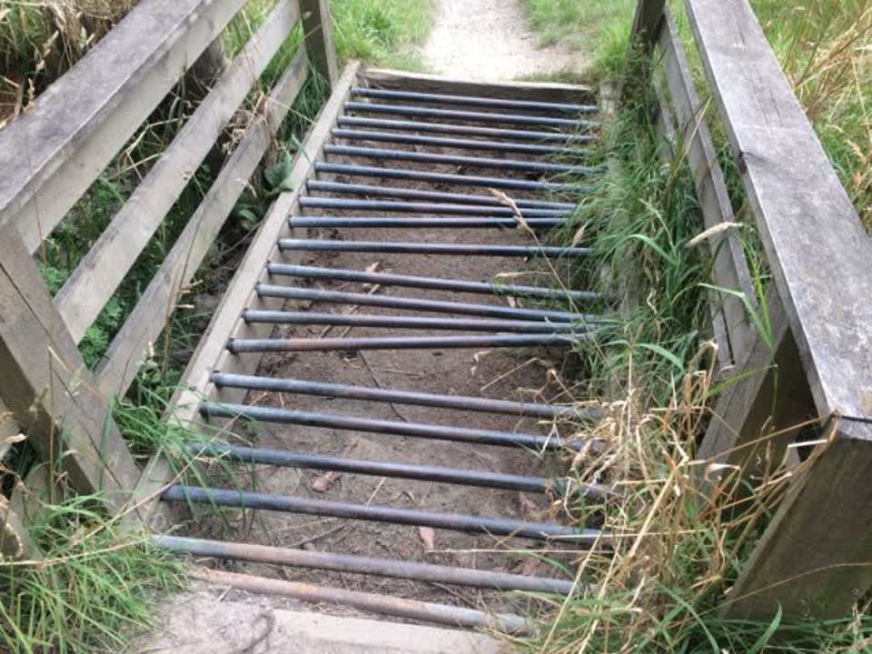 The photograph attached to this parks report