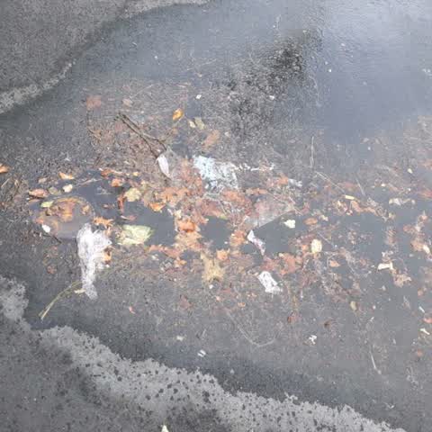 Flooding, a report photo