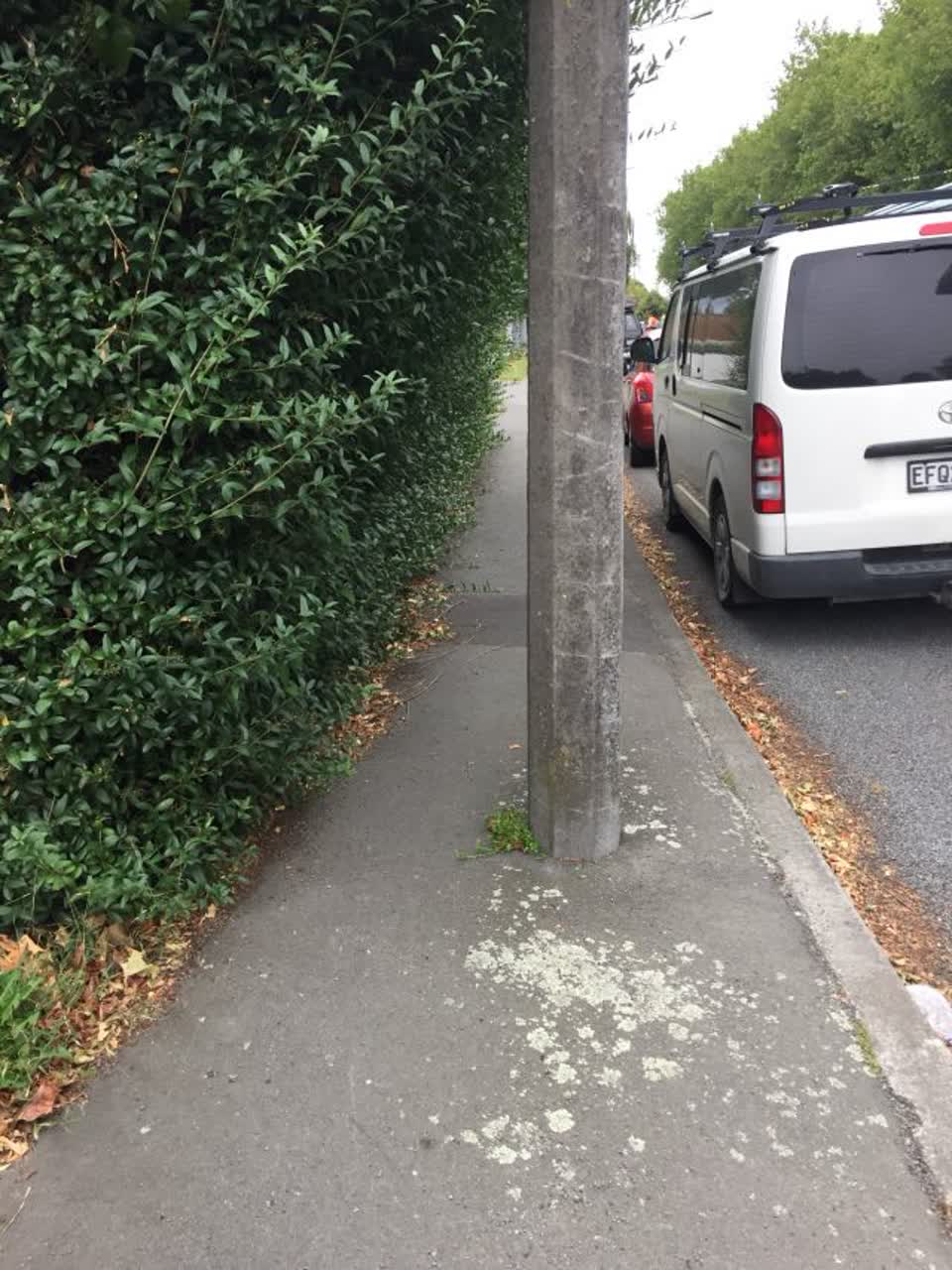 The photograph attached to this roading/streets report