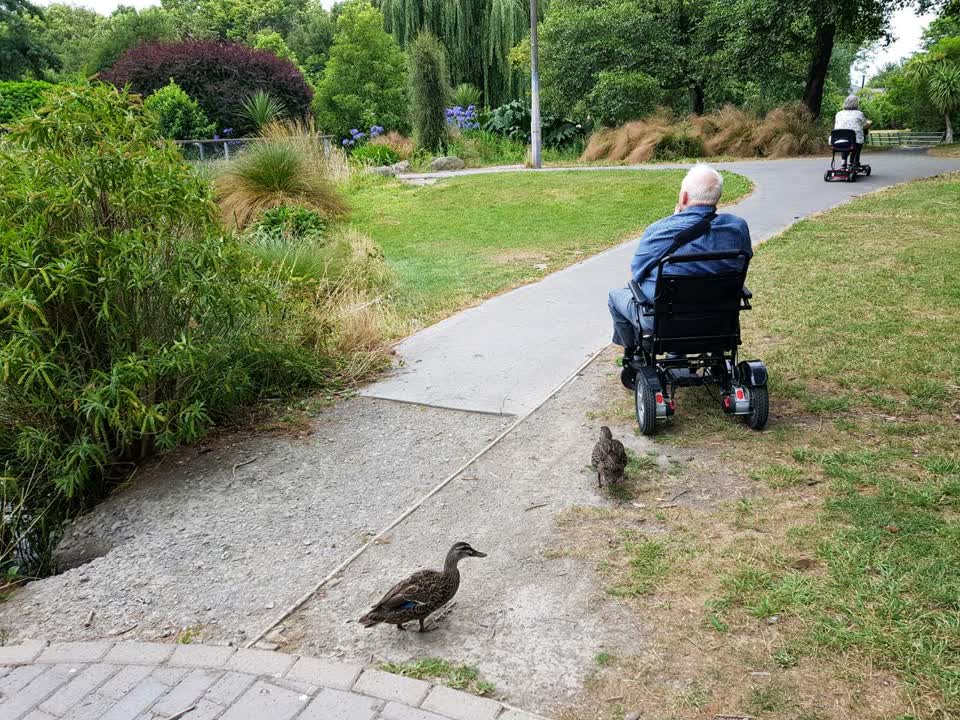 The photograph attached to this parks report
