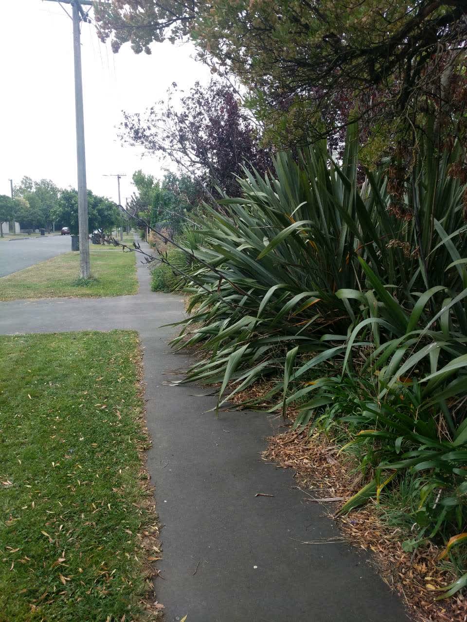 The photograph attached to this roading/streets report