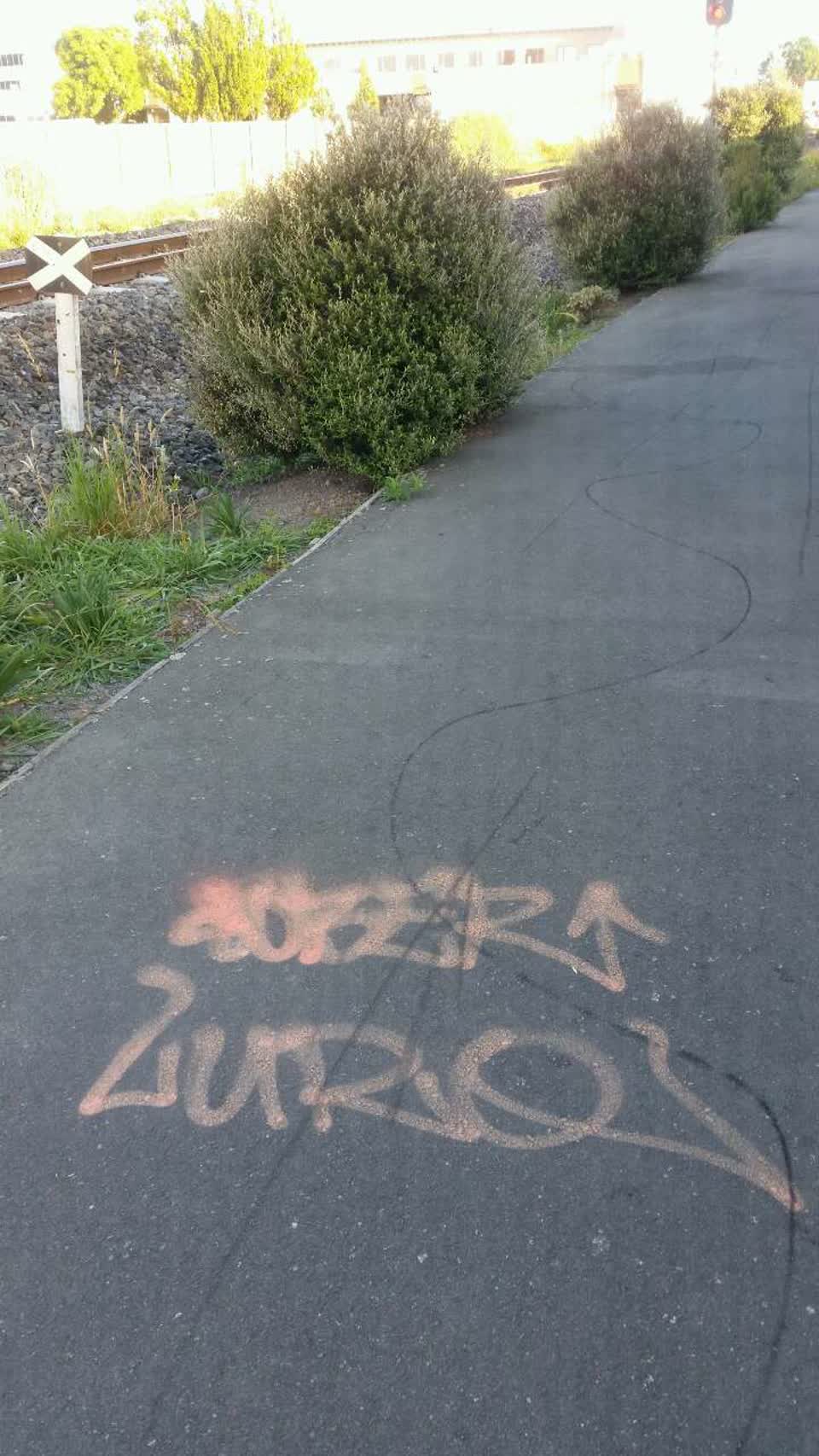 The photograph attached to this graffiti report